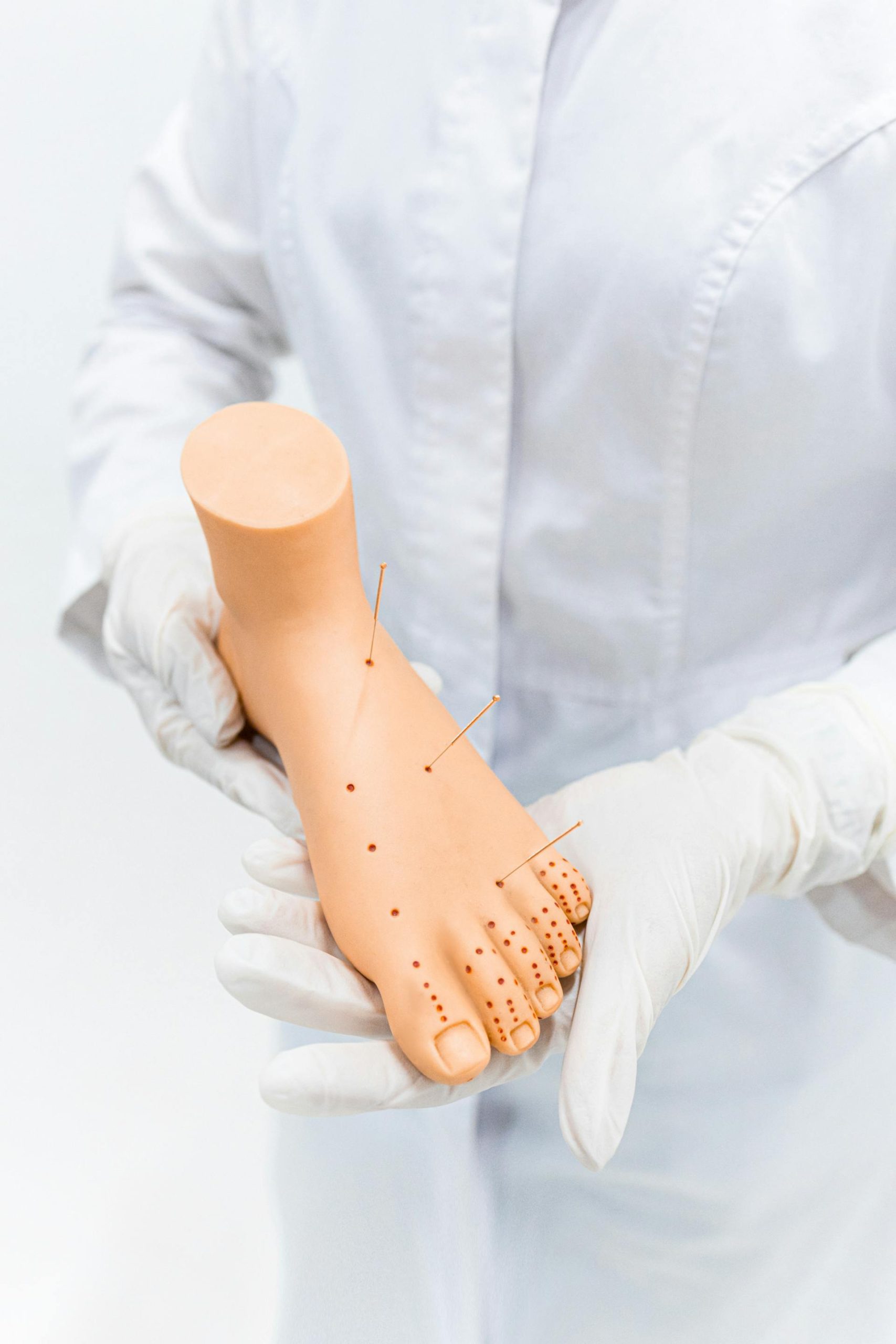 Close-up of an acupuncture model foot showing precision acupuncture points, symbolizing targeted strategies like PPC advertising for clinic growth.