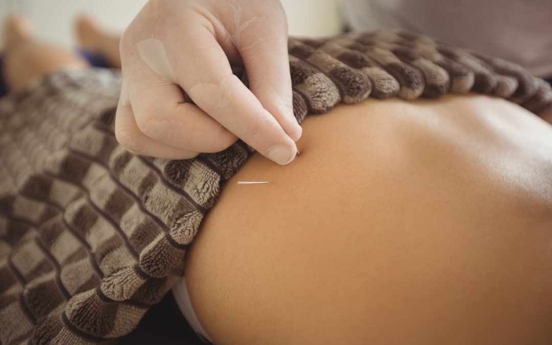 Color palette for acupuncture clinic branding