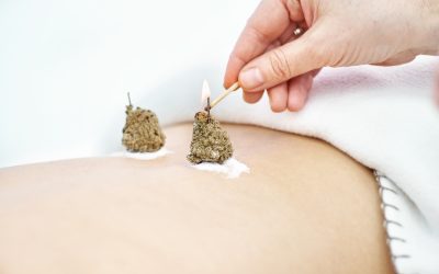 Google Ads for Acupuncturists: A Beginner’s Guide to PPC Success